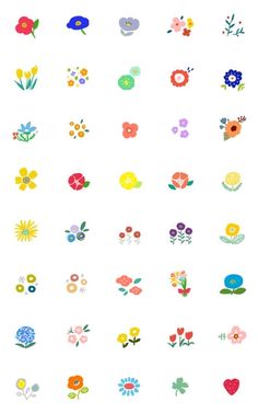 flowers are arranged in different colors and sizes on a white background with the words, flower power