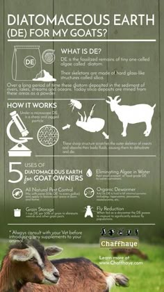 an info poster with goats and other animals on it