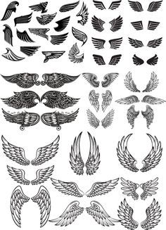 a set of wings in different shapes and sizes