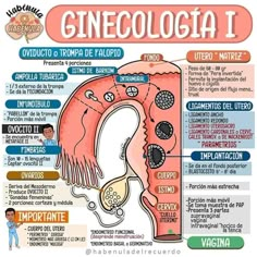 a diagram of the inside of a person's head with words and pictures on it