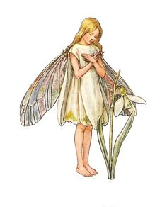 a drawing of a fairy holding a flower