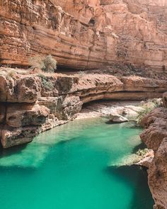 a body of water surrounded by rocks and greenery in the middle of a canyon