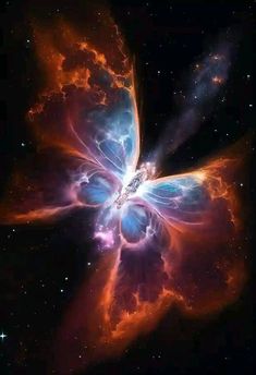 a butterfly shaped object in the middle of space with stars and dust around it's wings