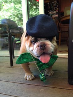 a dog wearing a hat and green bow tie with its tongue hanging out on the porch