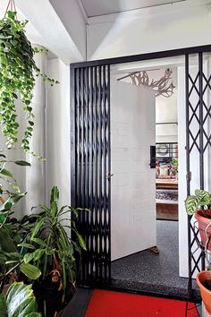 an entryway with plants and potted plants