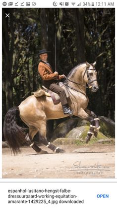 a man riding on the back of a brown horse in front of some tall trees