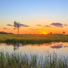 the sun is setting over an open field with water and trees in the foreground