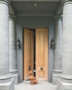 a brown dog sitting in front of two wooden doors with columns on either side and one door open