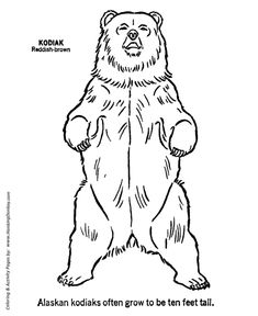 a drawing of a bear with the words alaska kodaks often grow to be ten feet tall