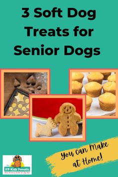 three pictures with the words 3 soft dog treats for senior dogs you can make at home