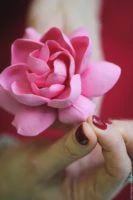 a woman holding a pink flower in her hand