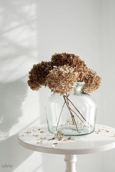 dried flowers sit in a glass vase on a table