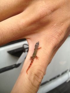 a small lizard tattoo on the finger of someone's left hand, it looks like they are going to eat something