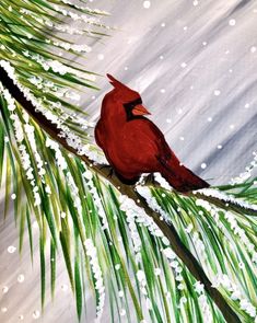 a painting of a cardinal perched on a pine tree branch in the snow with white flakes