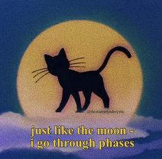 a black cat standing in front of a full moon with the caption just like the moon - i go through phases