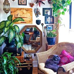 a living room filled with lots of plants and pictures