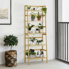 a wooden shelf filled with potted plants next to a planter on the floor