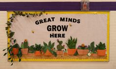 a bulletin board that says great minds grow here with cactuses and succulents