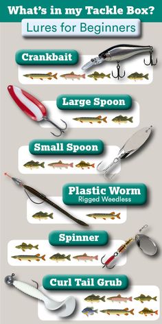 the different types of fishing lures are shown in this graphic diagram, which shows how they