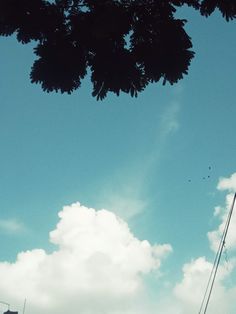 A picture of a blue sky with white cottony clouds on the lower half of the screen and the dark silhouette of tree leaves on the top half of the screen. Autumn Sky, Cotton Clouds, The Sky, Blue Sky