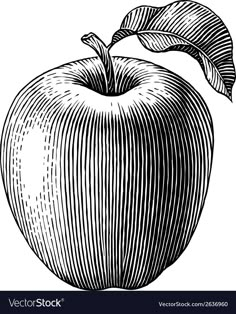 Bob Venables, Apple Tattoo, Apple Illustration, Apple Vector, Ink Pen Art, Apple Art, Contour Line