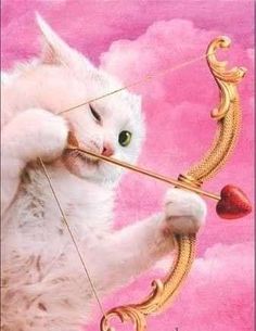 a white cat holding a bow and arrow