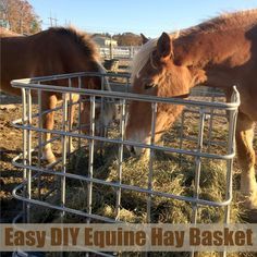 two brown horses eating hay in a metal basket with the words easy diy equine hay basket