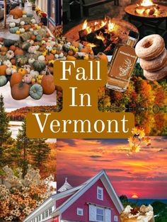 fall in vermont collage with pumpkins, cinnamon rolls and other things to eat