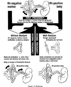 the diagram shows different stages of an infant's development, and how they can help them