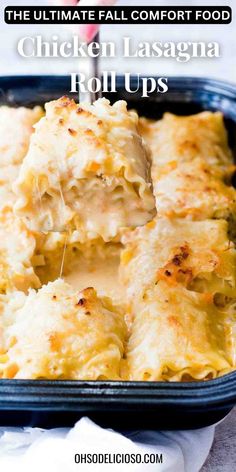 These delicious Chicken Roll-Ups are the easy fall dinner idea you’ve been searching for! Creamy, cheesy, and packed with flavor, they combine tender chicken and vegetables in lasagna noodles, topped with a homemade sauce. A cozy, satisfying meal that’s simple enough for weeknights but tasty enough for guests. Try it this easy fall dinner recipe today! #easyfalldinneridea #pastarecipes #comfortfood Lasagna Roll Ups Easy, Easy Chicken Lasagna, Cheesy Chicken Lasagna, Chicken Lasagna Roll Ups, Recipes With Lasagna Noodles, Food Casseroles, Chicken Lasagna Rolls, Chicken Lasagna Recipe, Healthy Lasagna