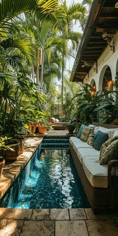 an outdoor swimming pool surrounded by greenery and potted plants is pictured in this image