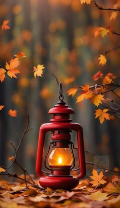 a red lantern sitting on top of a pile of leaves