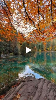 a river surrounded by trees with leaves on the ground and water in front of it