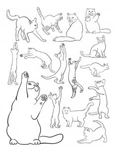 an animal coloring page with cats and kittens