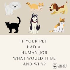 an image of dogs and cats with the words if your pet had a human job, what would it be and why?