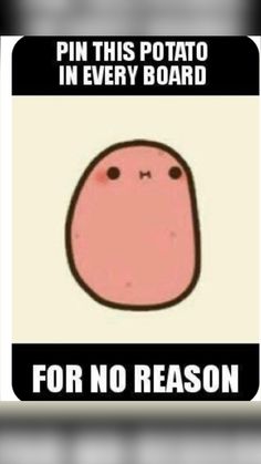 a poster with an image of a potato saying pin this potato in every board for no reason