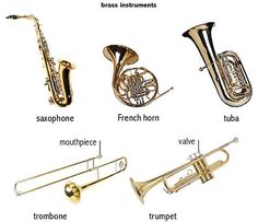 the different types of musical instruments are shown in this graphic above it is an image of trumpet, french horn, trombone, trombone and trumpet