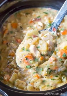 a ladle full of chicken and rice soup