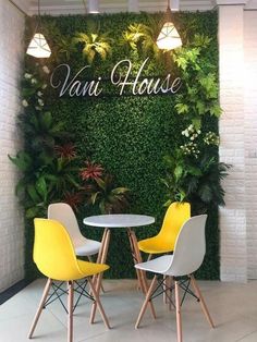 two yellow chairs sitting at a table in front of a wall with plants on it