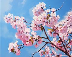 pink flowers are blooming on the branches of a tree with blue sky in the background