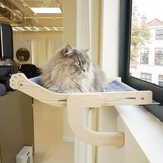 a long haired cat sitting on top of a window sill