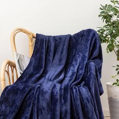 a blue blanket sitting on top of a chair next to a potted plant