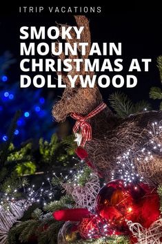 a stuffed animal sitting on top of a christmas tree with the words smoky mountain christmas at dollywood