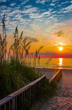 the sun is setting over the ocean and grass on the beach near an empty boardwalk