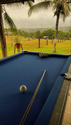 a pool table with a ball and racket on it in front of palm trees