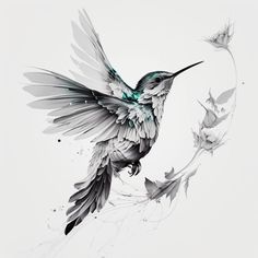 a drawing of a hummingbird with wings outstretched