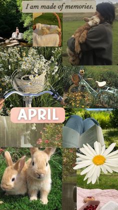 a collage of pictures with animals and flowers