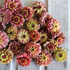 a bunch of flowers that are sitting on a wooden table with white boards in the background