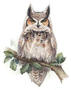 an owl sitting on top of a tree branch with leaves around its neck and eyes