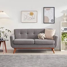 a living room scene with focus on the grey couch and rug, which has two framed pictures above it